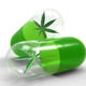 Illustration for article titled High on Beauty: Cannabinoids 101